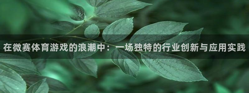 四川新宝GG科技有限公司怎么样：在微赛体育游戏的浪潮中：一场独特的行业创新与应用实践