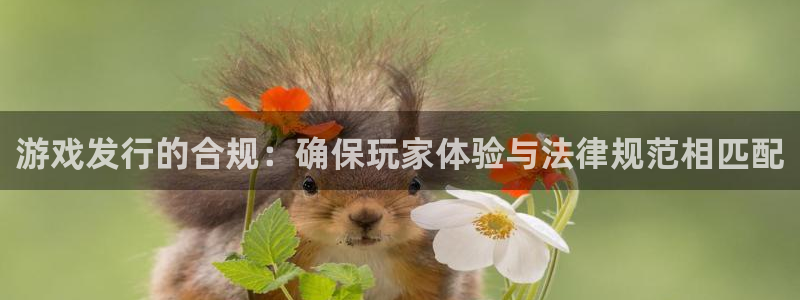 新宝GG男装品牌：游戏发行的合规：确保玩家体验与法律规范相匹配