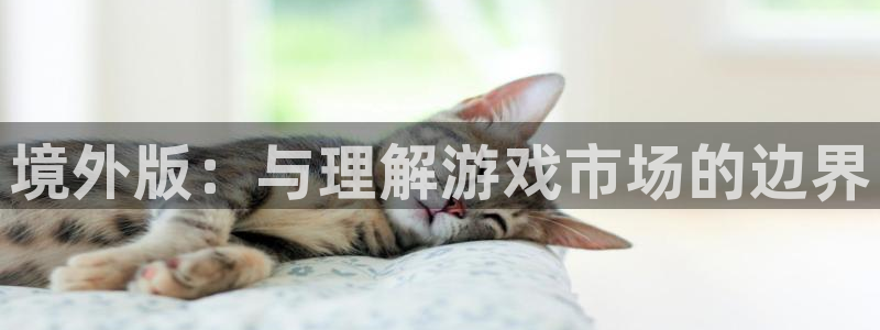 新宝GG电子商务有限公司怎么样知乎：境外版：与理解游戏市场的边界