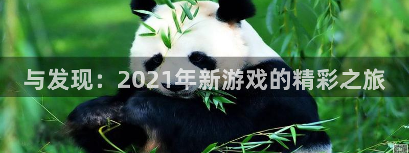 陕西新宝GG子文化公司加我qq：与发现：2021年新游戏的精彩之旅