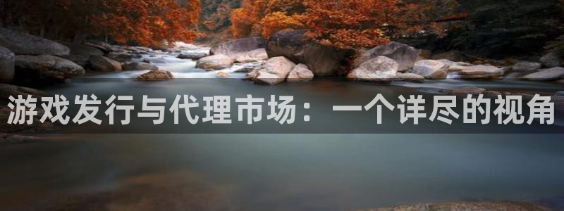 广州新宝GG电子商务：游戏发行与代理市场：一个详尽的视角