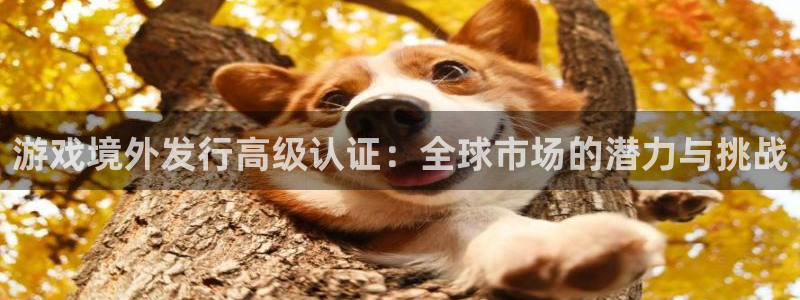 新宝GG官网注册平台是什么软件：游戏境外发行高级认证：全球市场的潜力与挑战