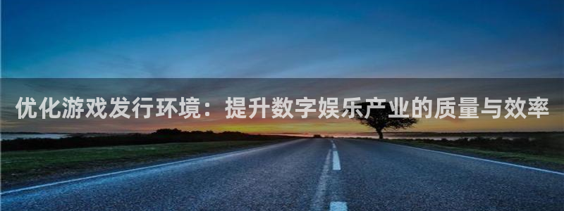 新宝GG官网注册平台是什么：优化游戏发行环境：提升数字娱乐产业的质量与效率