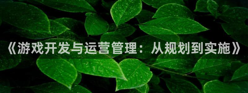 新宝GG官网客服招聘：《游戏开发与运营管理：从规划到实施》