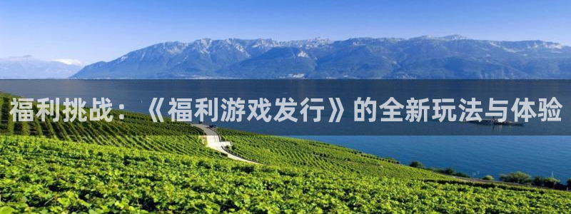 新宝GG子公司怎么样知乎：福利挑战：《福利游戏发行》的全新玩法与体验