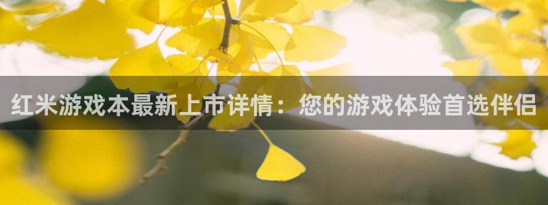 新宝GG官网官网注册账号是什么：红米游戏本最新上市详情：您的游戏体验首选伴侣