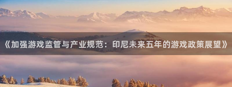 新宝GG环境科技有限公司：《加强游戏监管与产业规范：印尼未来五年的游戏政策展望》