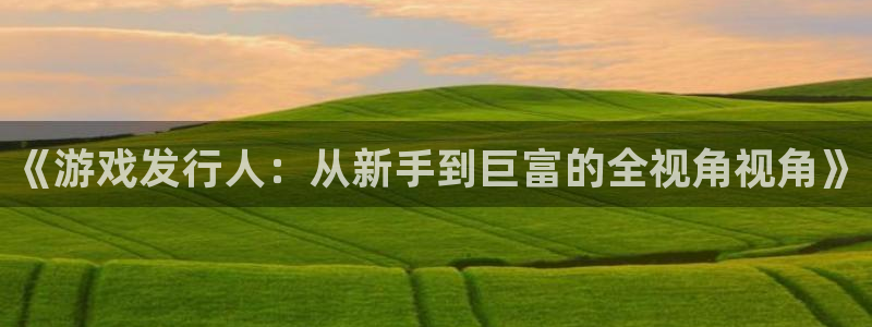 新宝GG电子科技怎么样：《游戏发行人：从新手到巨富的全视角视角》