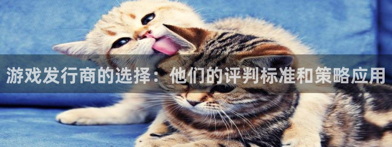 法国新宝GG：游戏发行商的选择：他们的评判标准和策略应用