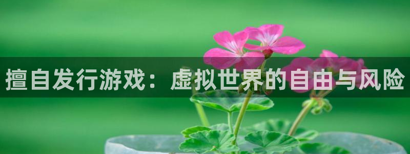 新宝GG官网平台是骗局吗：擅自发行游戏：虚拟世界的自由与风险