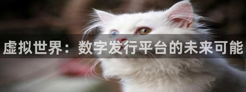 新宝GG子出版社董事长：虚拟世界：数字发行平台的未来可能