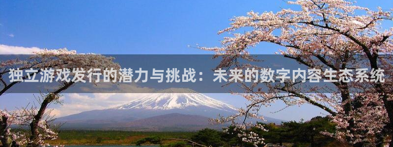 新宝GG超纯啤酒怎么样