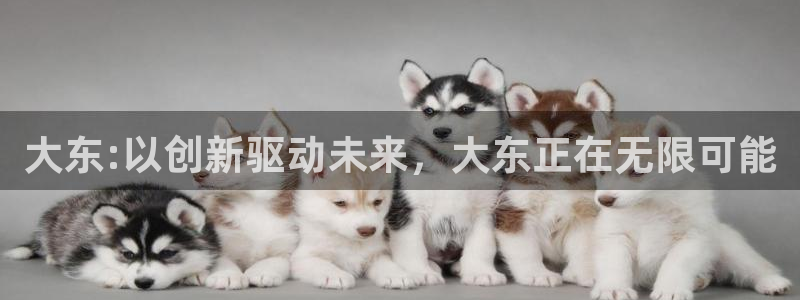 新宝GG有什么寓意