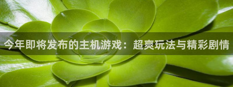 新宝GG官网注册方法有哪些呢：今年即将发布的主机游戏：超爽玩法与精彩剧情