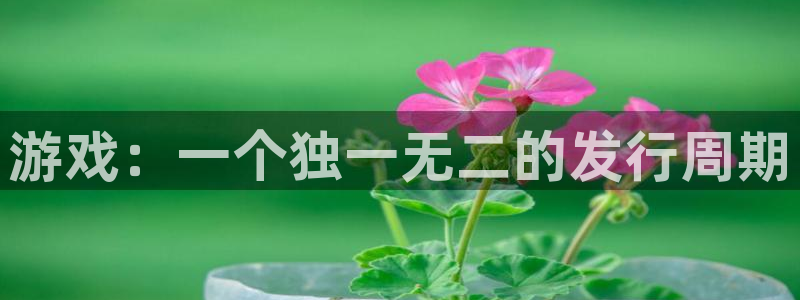 新宝GG集团是什么企业