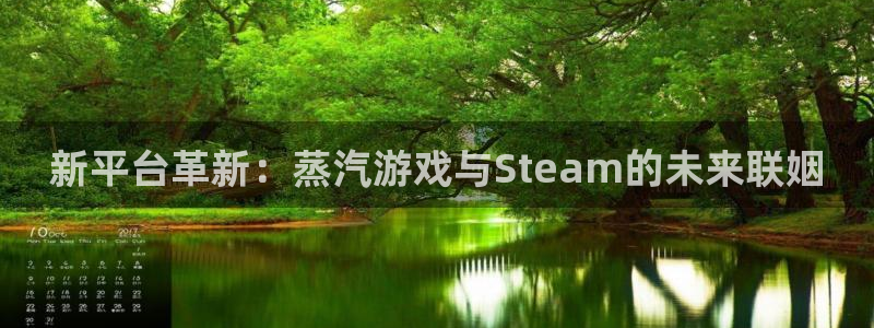 新宝GG官网客服电话是多少：新平台革新：蒸汽游戏与Steam的未来联姻