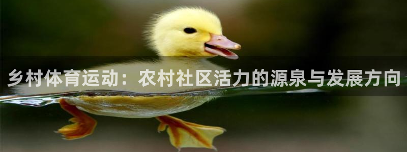 oety欧亿：乡村体育运动：农村社区活力的源泉与发展方向