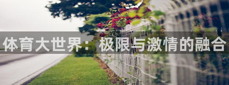 oety欧亿：体育大世界：极限与激情的融合