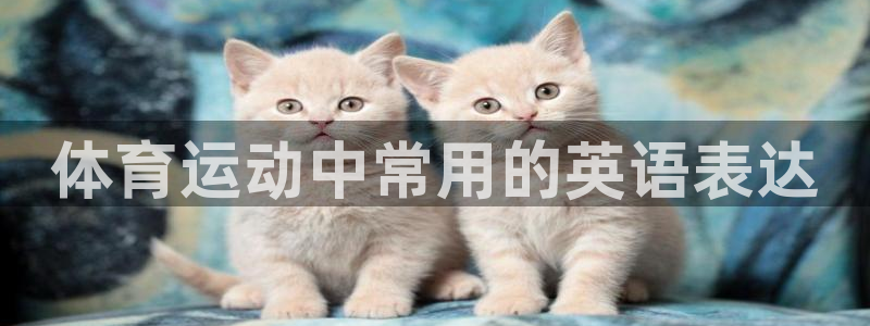 oety欧亿