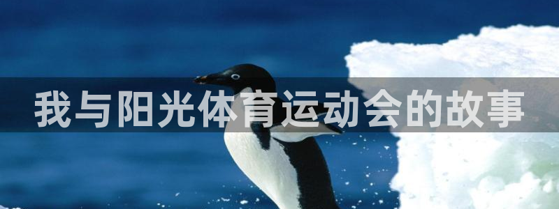 oety欧亿