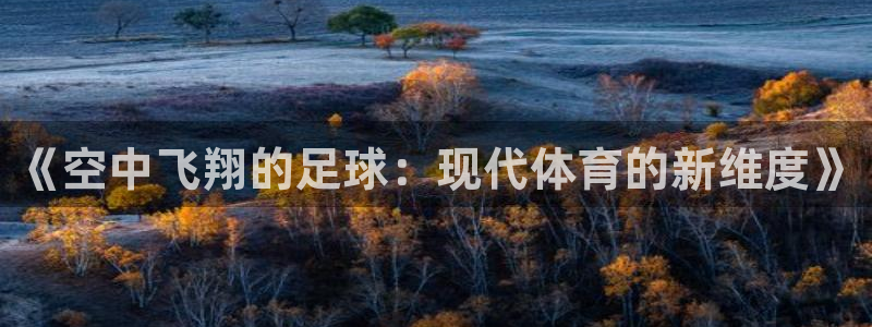 oety欧亿：《空中飞翔的足球：现代体育的新维度》